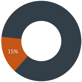 Self-Supporting - 15%