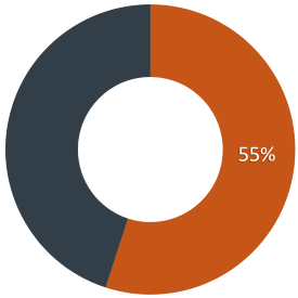 Salaries & Benefits - 55%