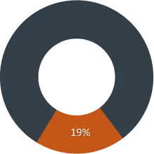 Grants and Contracts - 19%