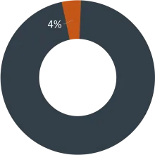 Other - 4%