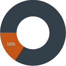Self-Supporting - 16%
