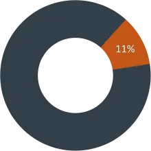 State General Revenue - 11%