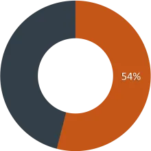Salaries and Benefits - 54%