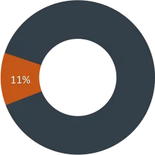 Scholarships and Financial Aid - 11%
