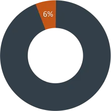 Self-Supporting - 6%