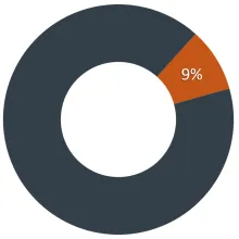 Pie chart of General Revenue's 9% share of the budget source