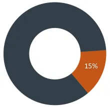 Pie chart of Tuition's 15% share of the budget source