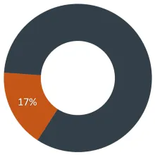 Pie chart of Self Supporting's 17% share of the budget's source
