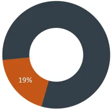 Pie chart showing Operating Expenses' 19% share of budget uses